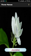 Flower Names imagem de tela 3