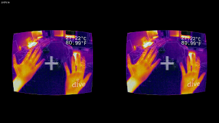 DiveFLIR imagem de tela 7