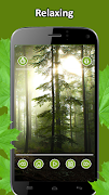 Relax Forest screenshot 3