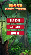 Block Runic Puzzle screenshot 6