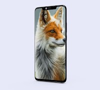 Fox Wallpapers スクリーンショット 4