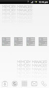 Memory Manager 截图 2