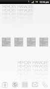 Memory Manager স্ক্রিনশট 2
