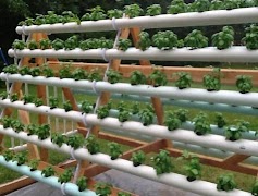Hydroponics Design Ideas screenshot 5