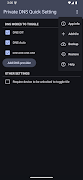 Private DNS Quick Setting 截图 2