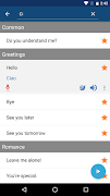 Learn Italian | Translator screenshot 3