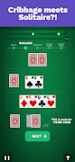 Cribbage Blitz الملصق