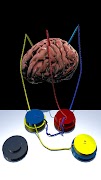 Brain Connect โปสเตอร์