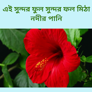 বাছাই করা গজল অডিও offline syot layar 1