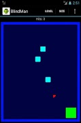 BlindMan screenshot 1