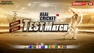Real Cricket™ Test Match ภาพหน้าจอ 5