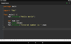 Go Programming Compiler Screenshot 4
