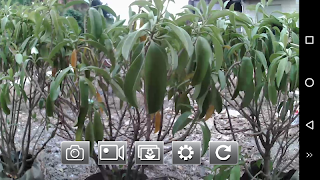 Bee520 MiDRONE captura de pantalla 2