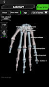 Osseous System in 3D (Anatomy) ภาพหน้าจอ 3