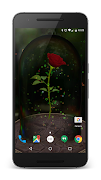 Enchanted Rose screenshot 1