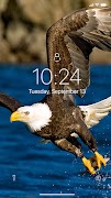 Eagle Wallpaper 截圖 7