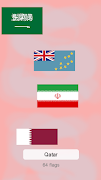 世界国旗测验 截图 5