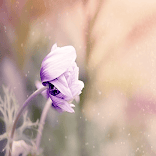”nature background