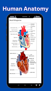 Human Anatomy screenshot 3