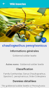 برنامه‌نما Insect Identification عکس از صفحه