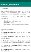 Basic English Grammar تصوير الشاشة 4
