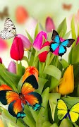 Spring Live Wallpaper স্ক্রিনশট 2