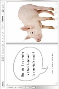 DBookReader スクリーンショット 2