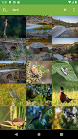 SearchPhotos تصوير الشاشة 6