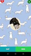 Cat or dog? ภาพหน้าจอ 3