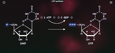 BiochemCity screenshot 7