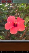 2 Schermata Flower Puzzle
