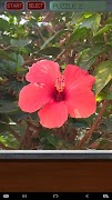 Flower Puzzle imagem de tela 2