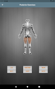 Muscle Buddy screenshot 5