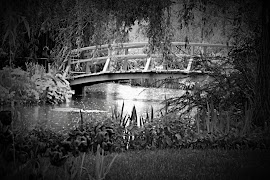 Dramatic Black & White ảnh chụp màn hình 4