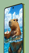 Capybara Wallpapers HD poster