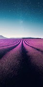 Summer wallpaper स्क्रीनशॉट 6