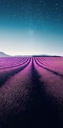 Summer wallpaper screenshot 6