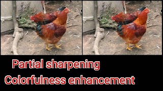 Photo/Vector Graphics Editor screenshot 4