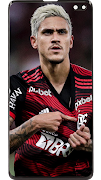 Flamengo Wallpapers Ekran Görüntüsü 6