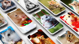 پوستر Hamster Wallpapers