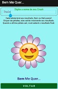 Bem me Quer...-poster