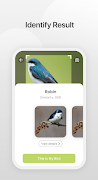 Bird V Ekran Görüntüsü 6