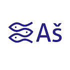 Aš v mobilu icono