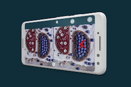 Find The Differences Five Diff syot layar 3