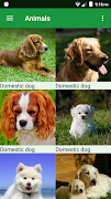 Dogs Puzzle 海報