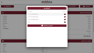 ReMida HPS syot layar 5