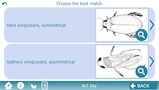 2 Schermata The Waterbug App