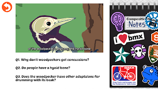 Rebound: Beating Concussions ภาพหน้าจอ 1