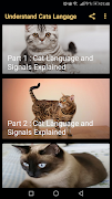 Understanding Cat Language-poster