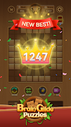 Brain Glide Puzzles 截图 3